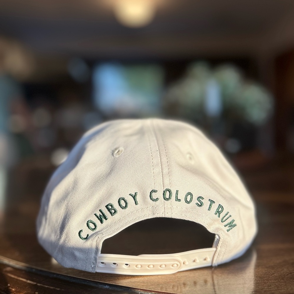 Green and White Cowboy Hat - Picture 3 of 6